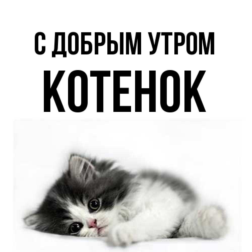 Открытка  с именем. Котенок, С добрым утром  