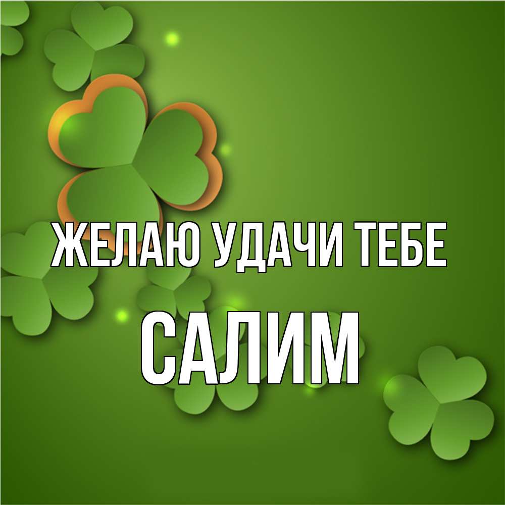 Открытка  с именем. Салим, Желаю удачи тебе  