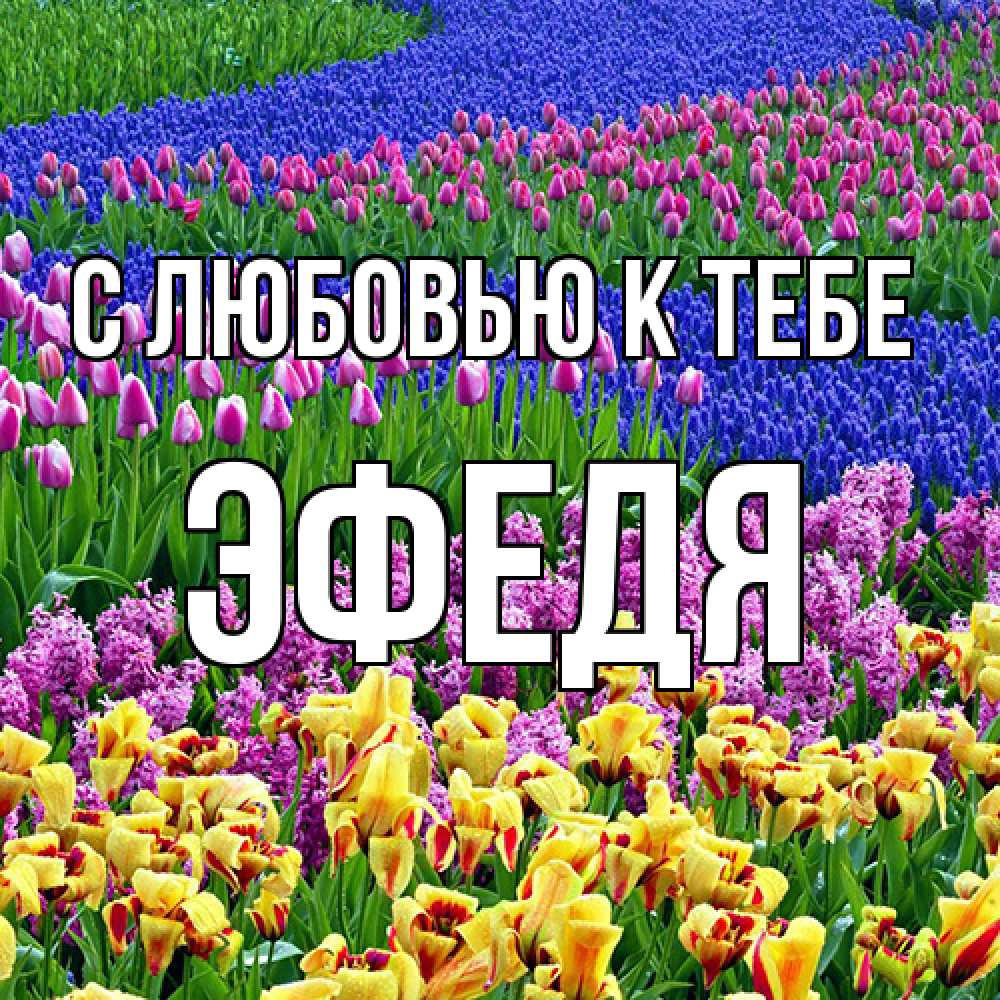 Открытка  с именем. ЭФедя, С любовью к тебе  