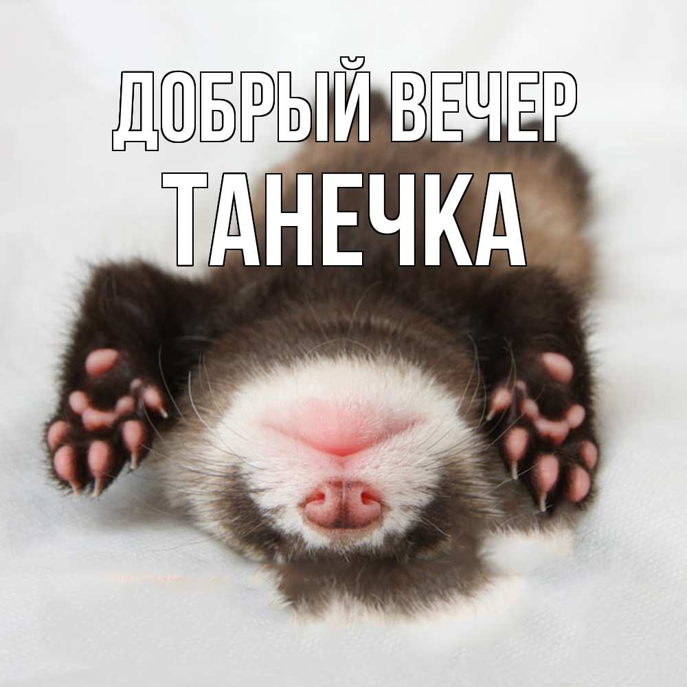 Открытка  с именем. Танечка, Добрый вечер  