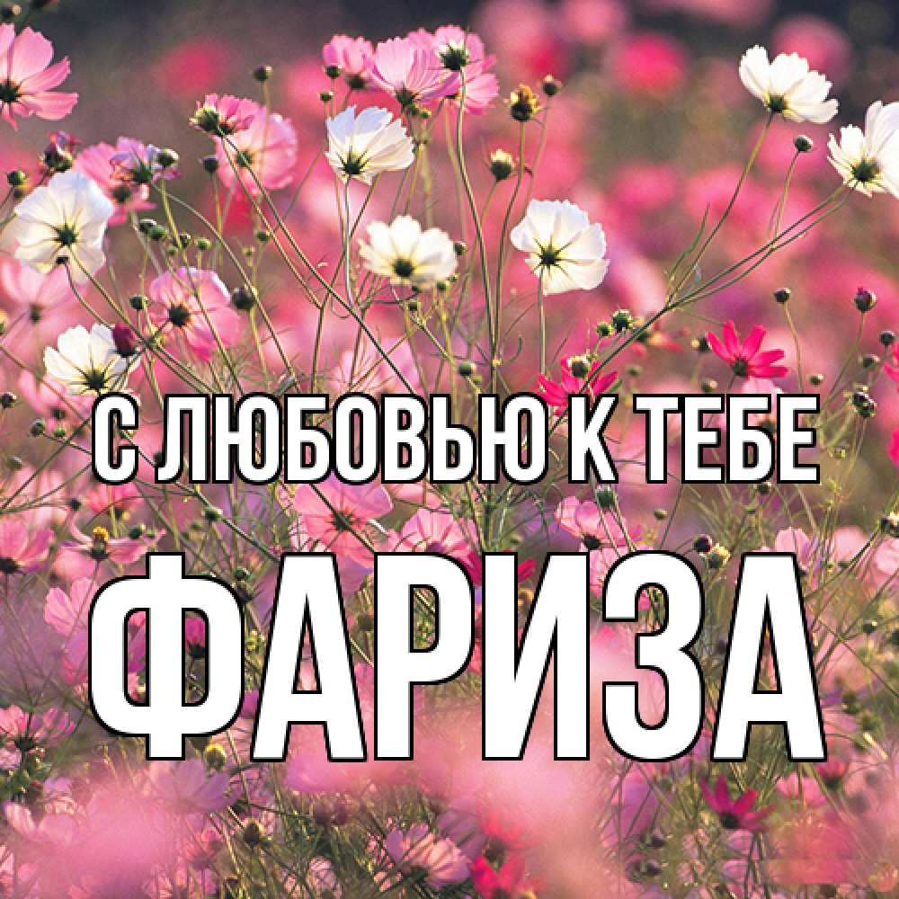 Открытка  с именем. Фариза, С любовью к тебе  