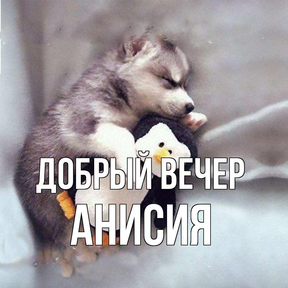 Открытка  с именем. Анисия, Добрый вечер  