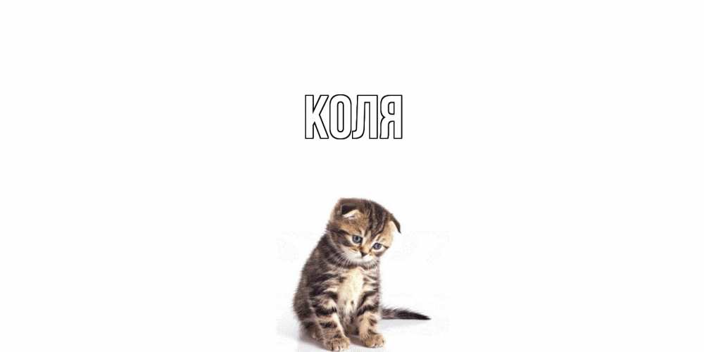 Открытка  с именем. коля, Главная  