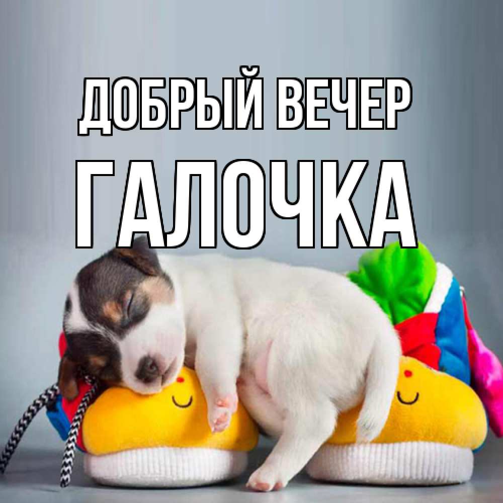 Открытка  с именем. Галочка, Добрый вечер  