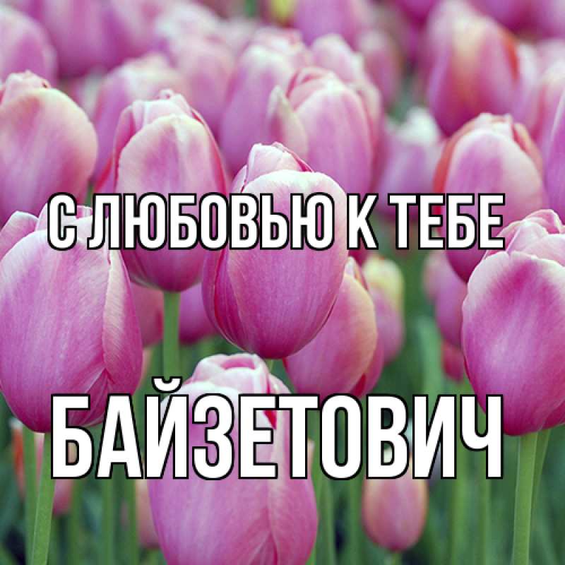 Картинка С любовью к тебе, Байзетович