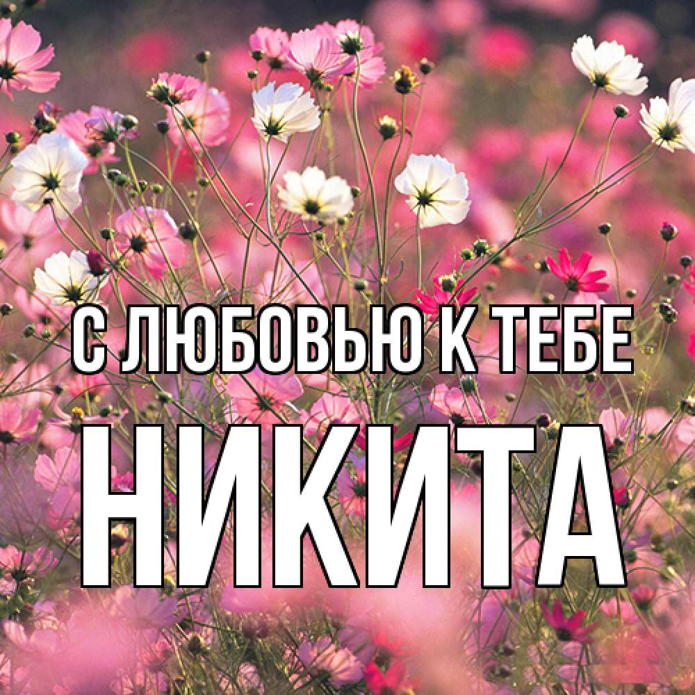 Открытка  с именем. Никита, С любовью к тебе  