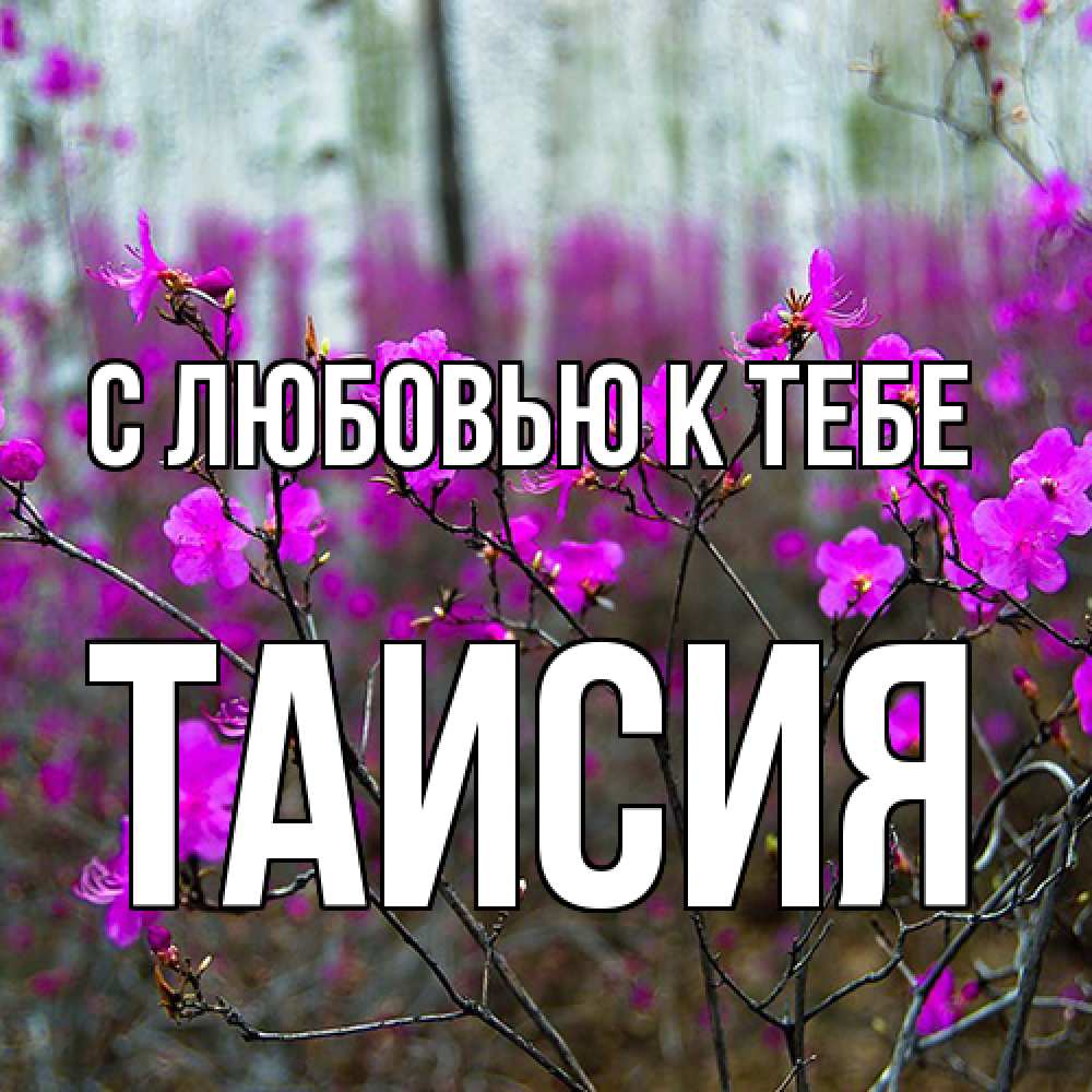 Открытка  с именем. Таисия, С любовью к тебе  