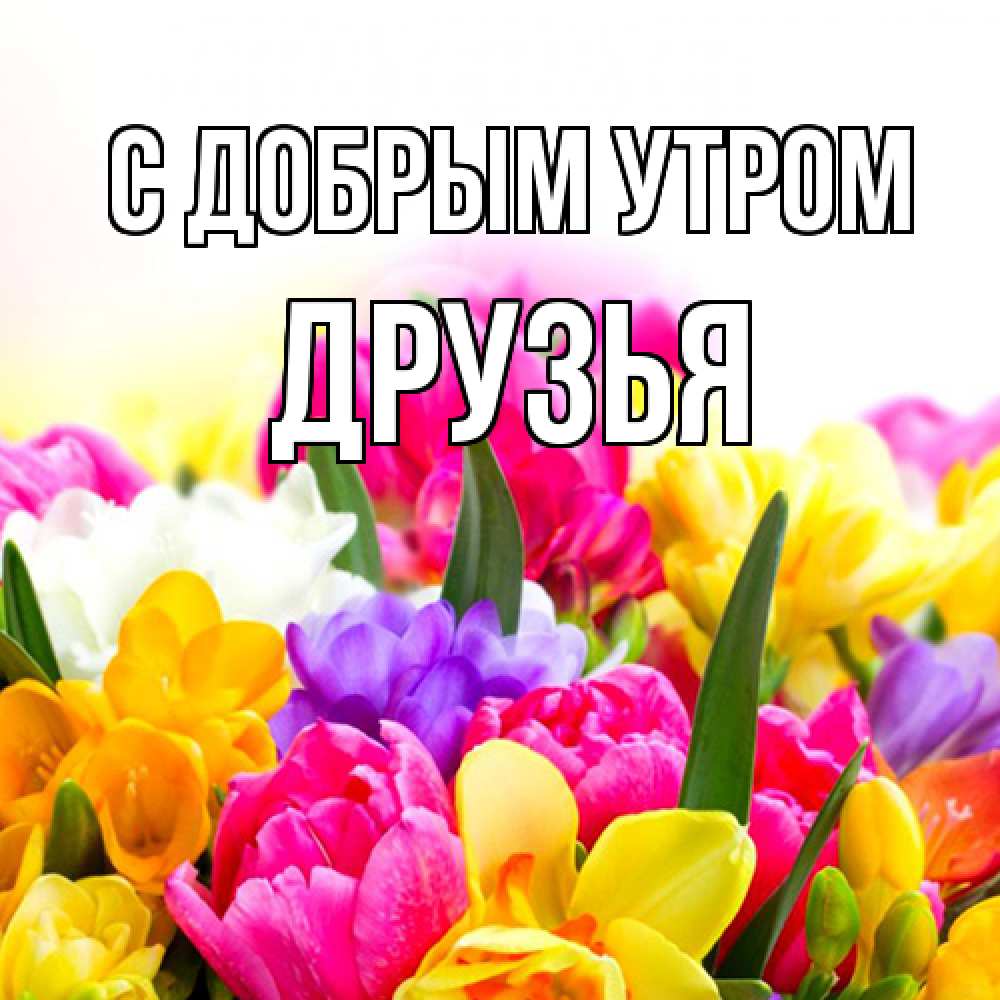 Открытка  с именем. друзья, С добрым утром  