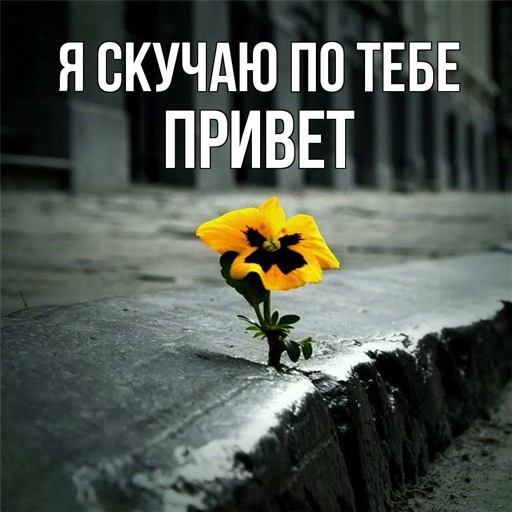 Открытка  с именем. Привет, Я скучаю по тебе  