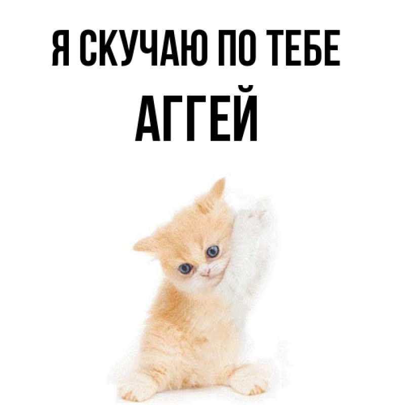 Картинка Я скучаю по тебе, Аггей