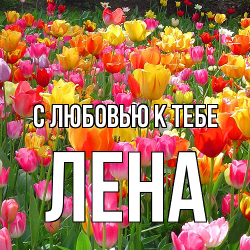 Картинка С любовью к тебе, лена