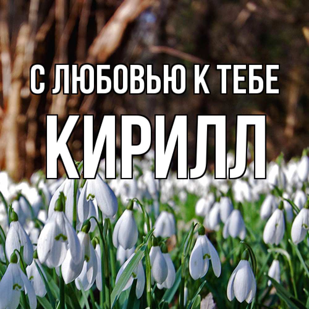 Открытка  с именем. Кирилл, С любовью к тебе  