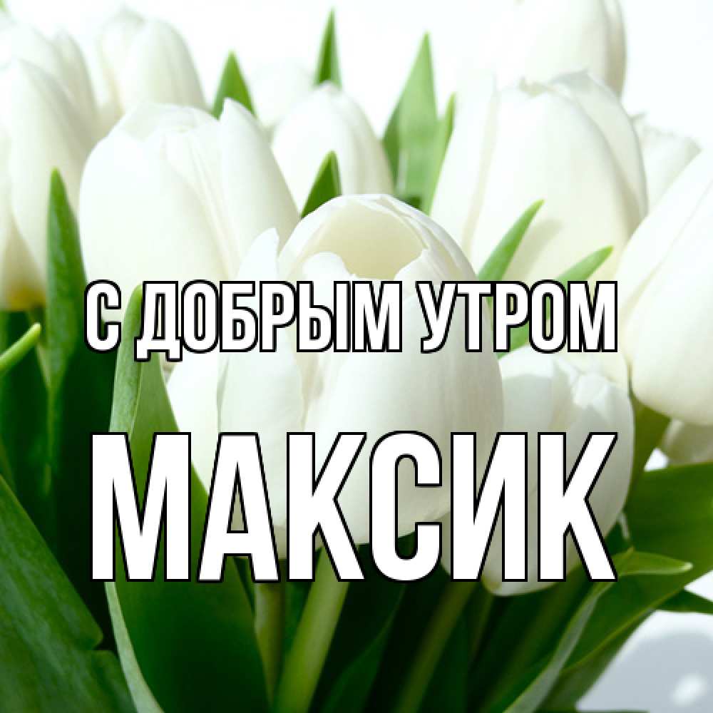 Открытка  с именем. Максик, С добрым утром  