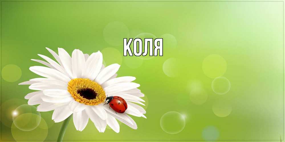 Открытка  с именем. коля, Главная  