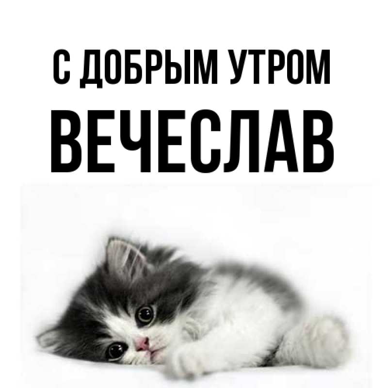 Картинка С добрым утром, Вечеслав