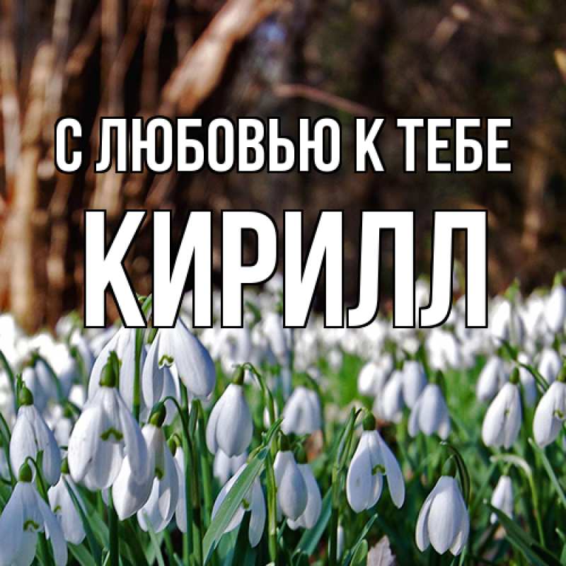 Картинка С любовью к тебе, Кирилл