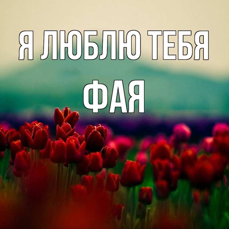 Открытка с именем, Фая, Я люблю тебя