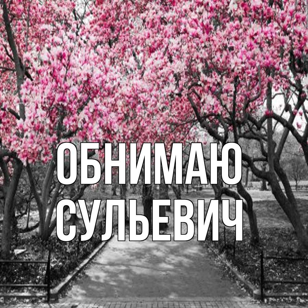 Открытка  с именем. Сульевич, Обнимаю  