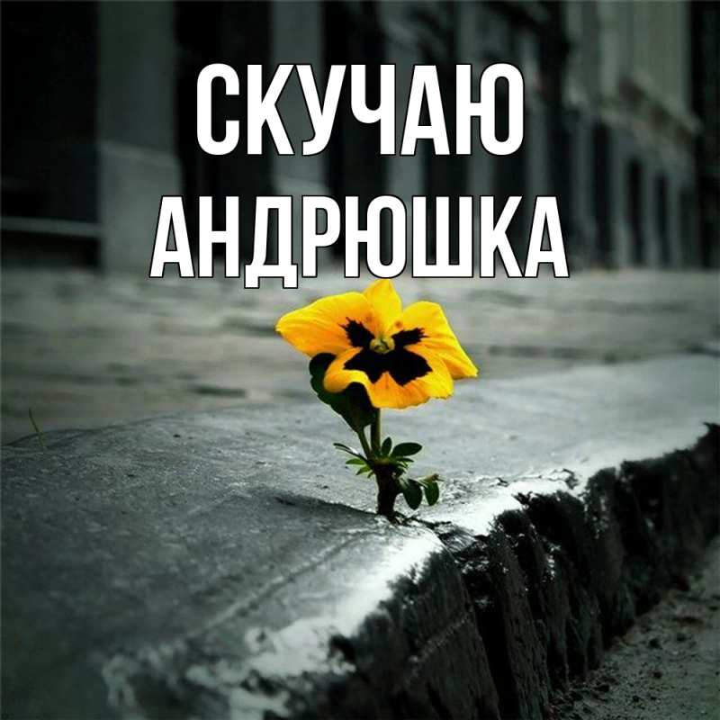 Картинка Скучаю, Андрюшка