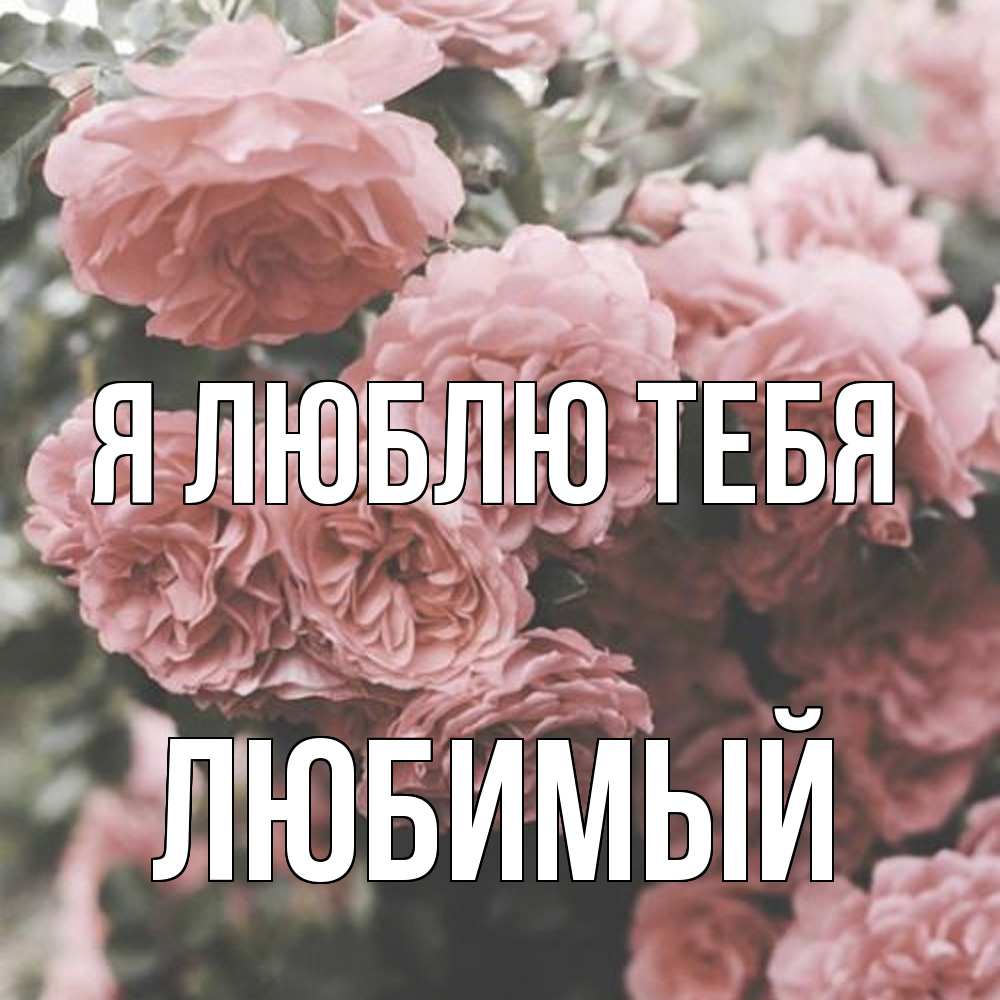 Открытка  с именем. Любимый, Я люблю тебя  
