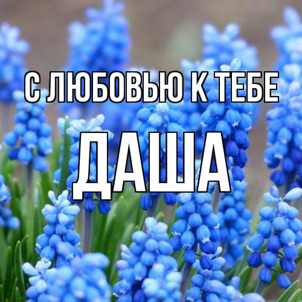 Открытка  с именем. даша, С любовью к тебе  