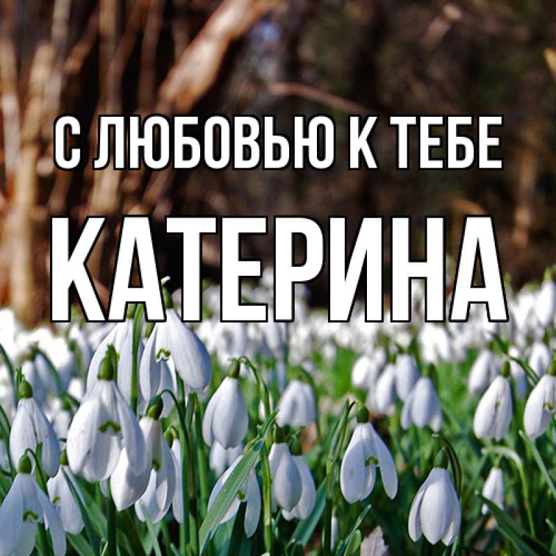 Картинка С любовью к тебе, Катерина
