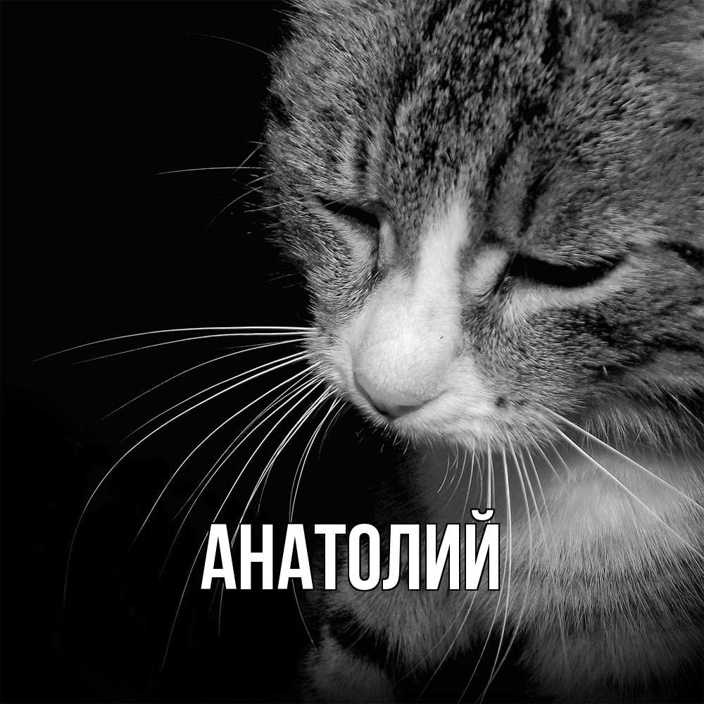Открытка  с именем. Анатолий, Главная  