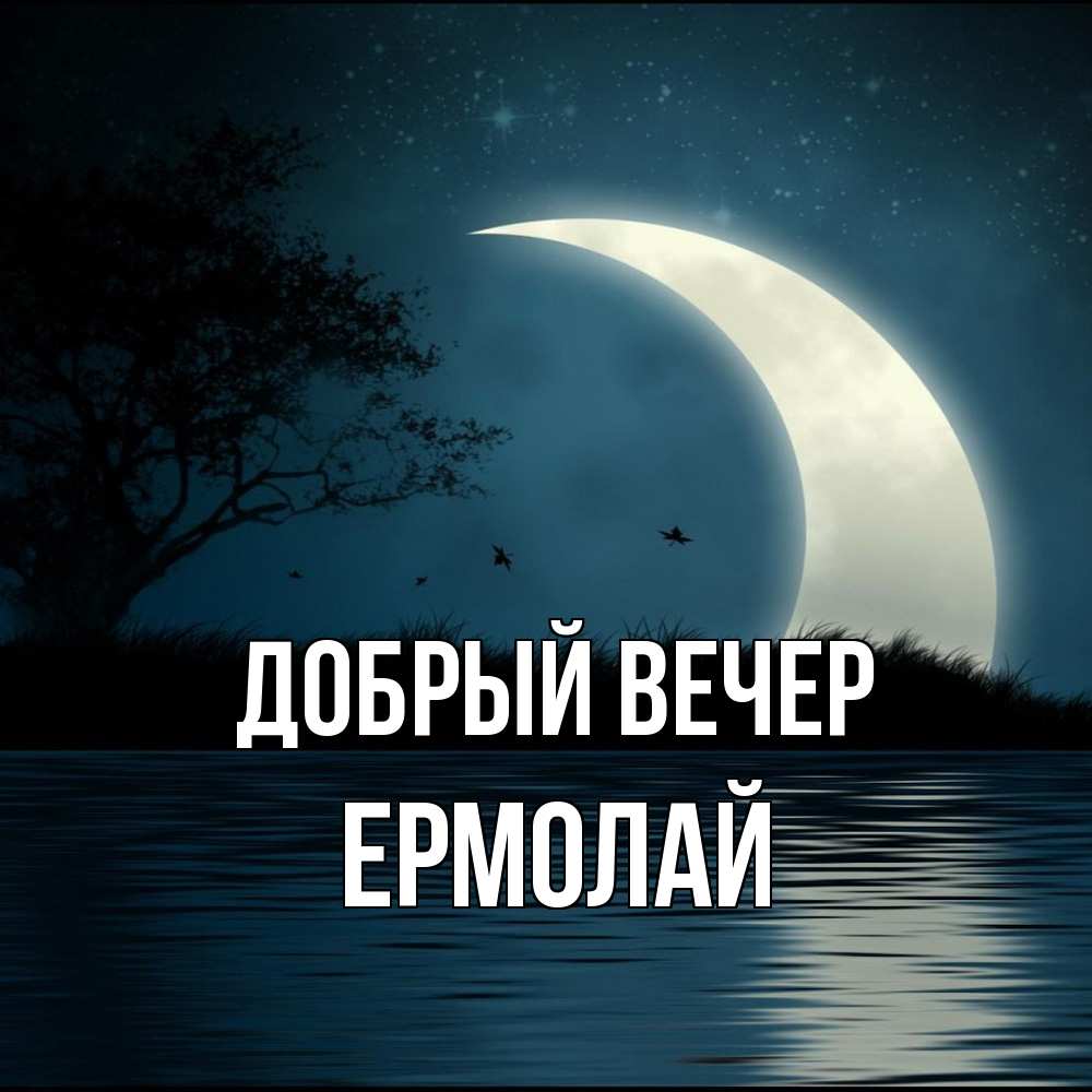 Открытка  с именем. Ермолай, Добрый вечер  