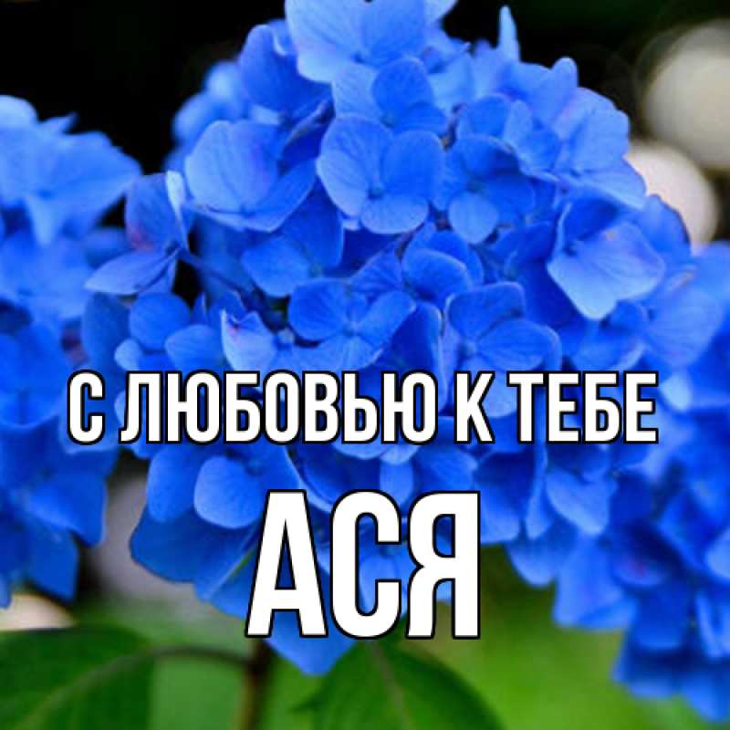 Картинка С любовью к тебе, Ася