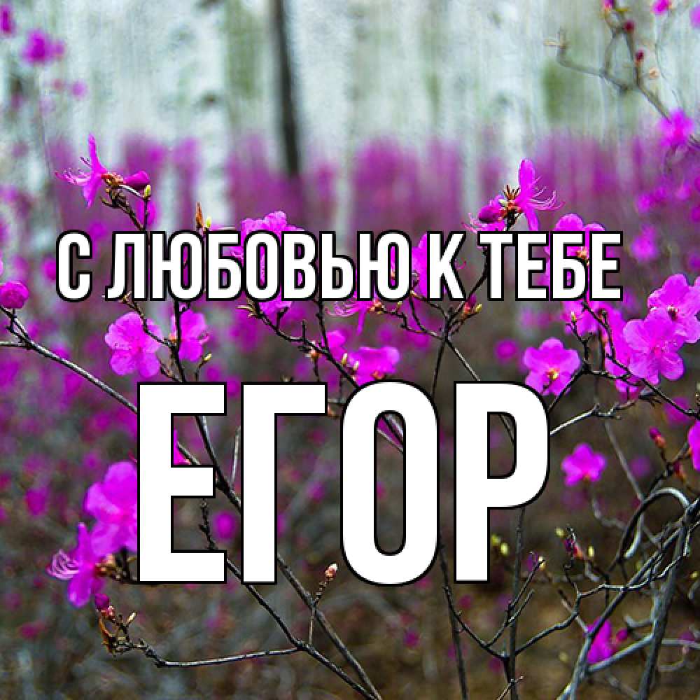 Открытка  с именем. Егор, С любовью к тебе  