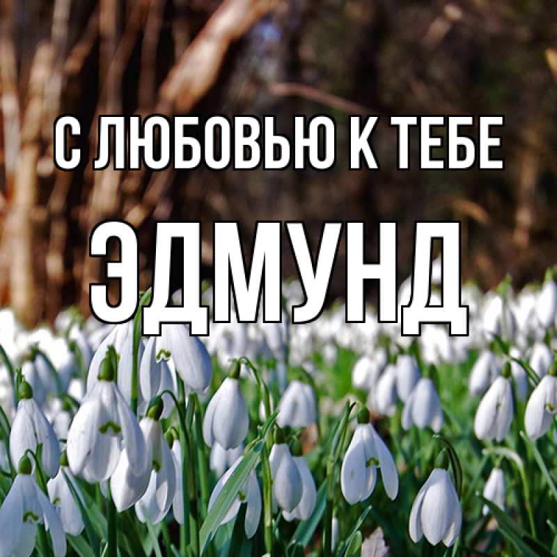 Картинка С любовью к тебе, Эдмунд