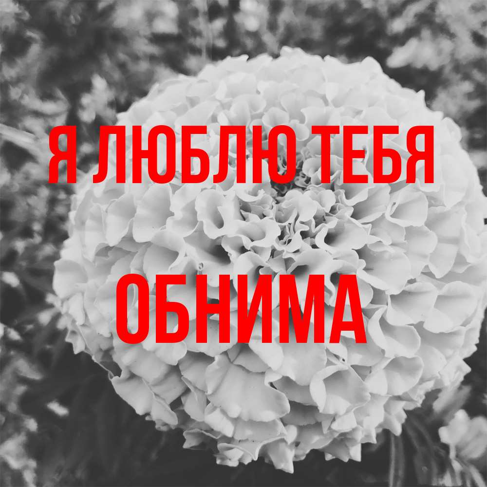 Открытка  с именем. Обнима, Я люблю тебя  