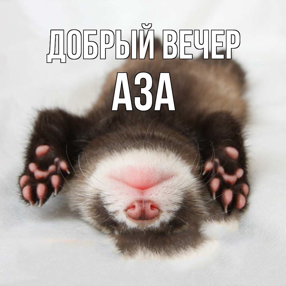 Открытка  с именем. Аза, Добрый вечер  
