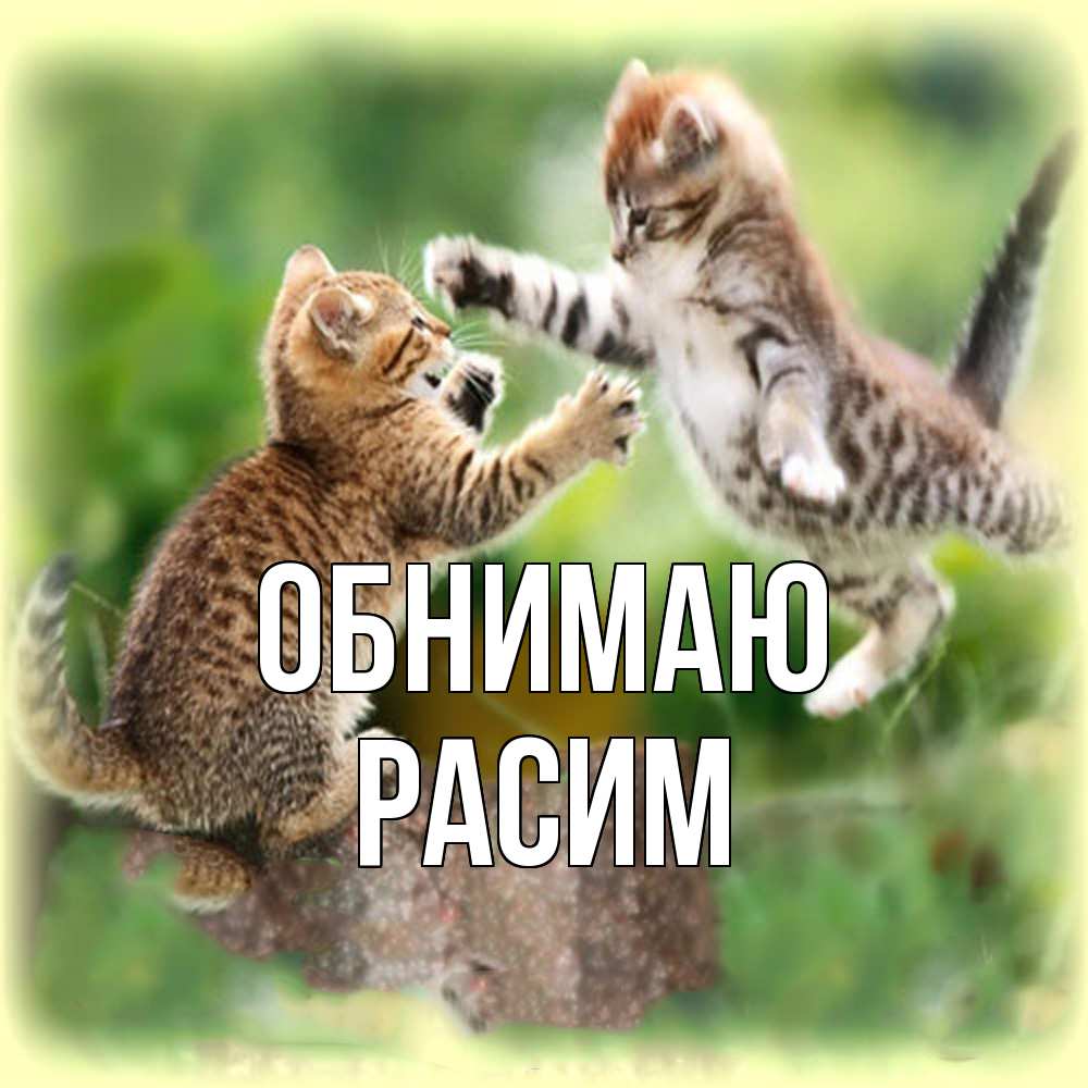 Открытка  с именем. Расим, Обнимаю  