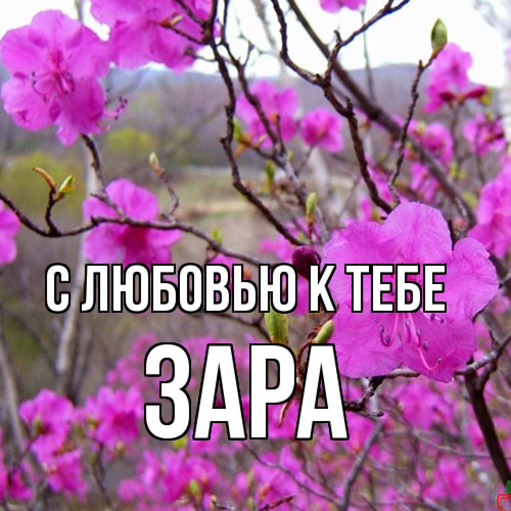 Открытка  с именем. Зара, С любовью к тебе  