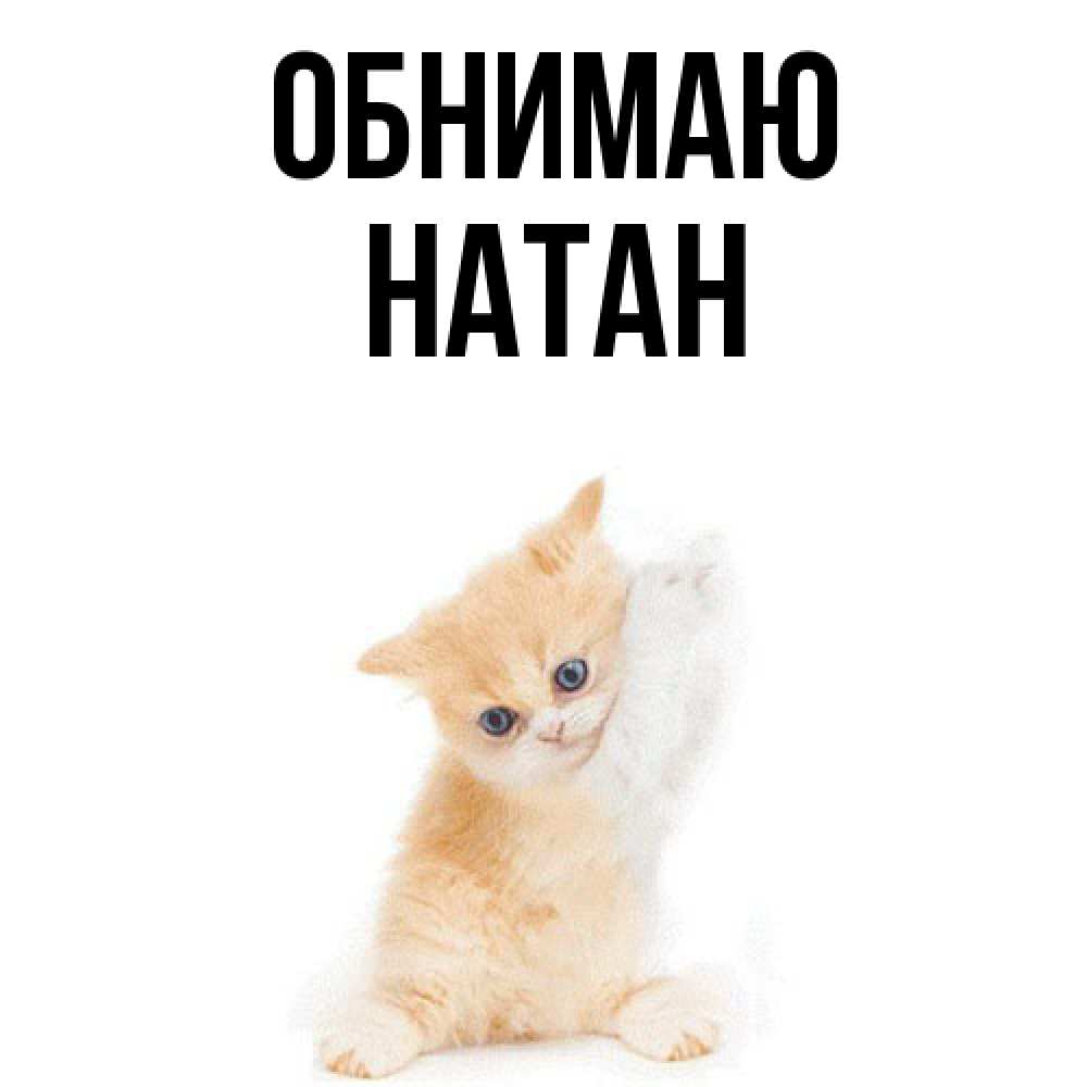 Открытка  с именем. Натан, Обнимаю  