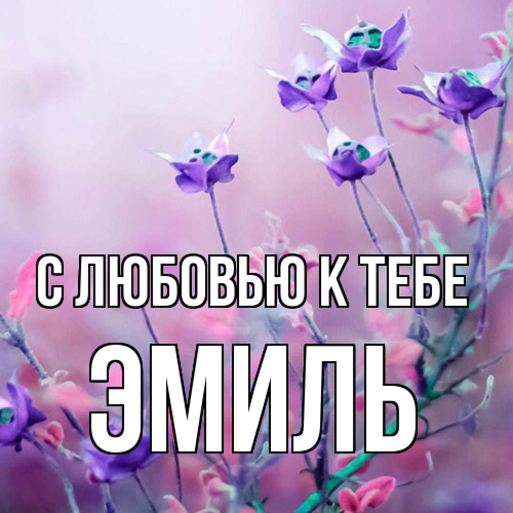 Открытка  с именем. Эмиль, С любовью к тебе  