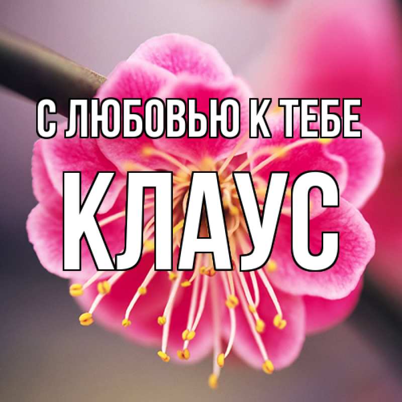 Картинка С любовью к тебе, Клаус