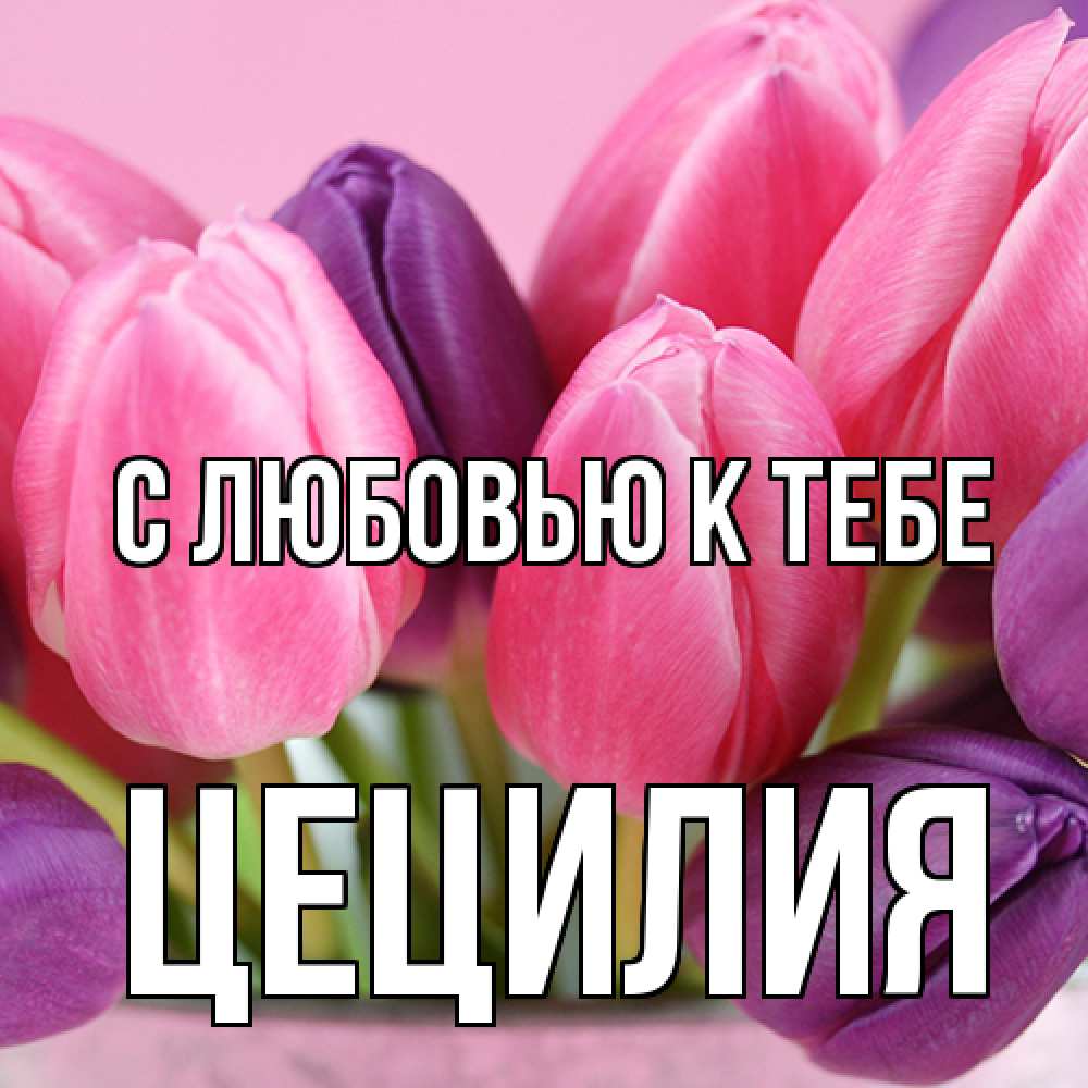 Открытка  с именем. Цецилия, С любовью к тебе  