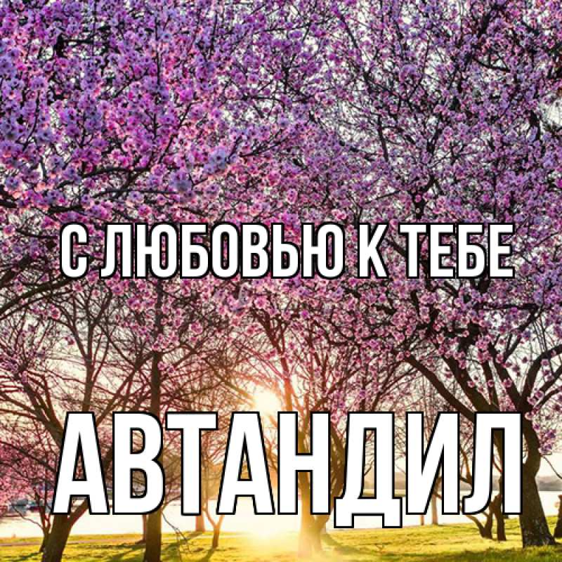 Картинка С любовью к тебе, Автандил