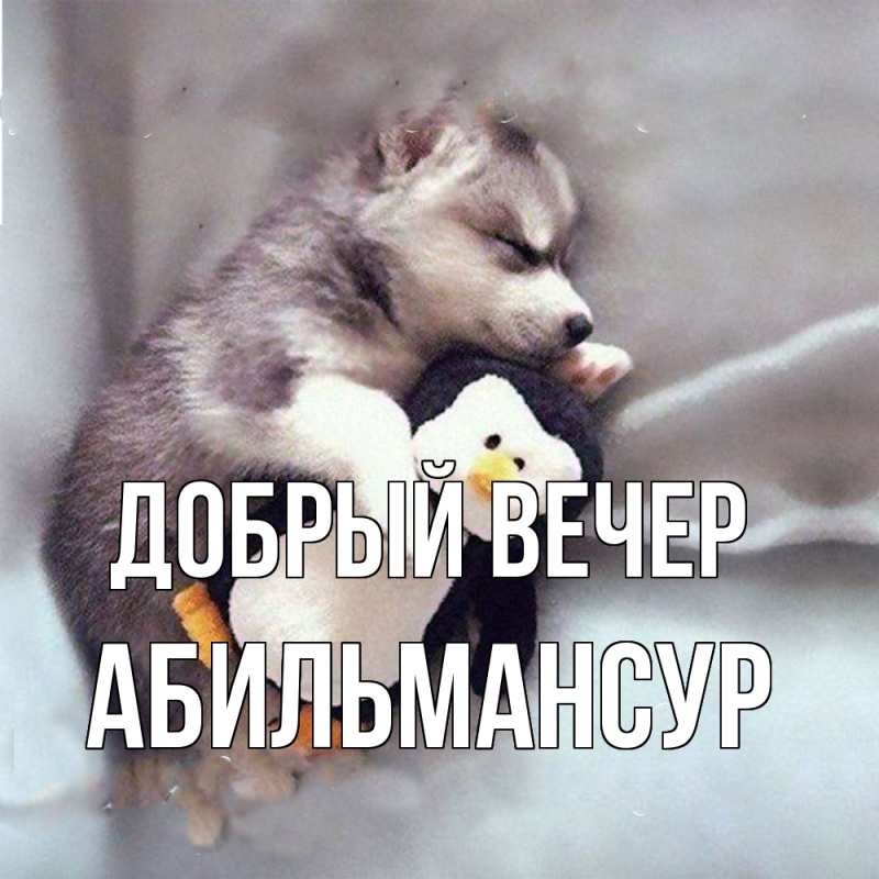 Картинка Добрый вечер, Абильмансур