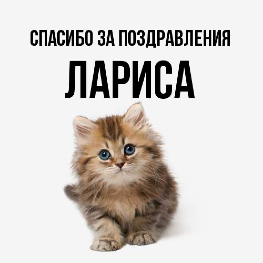 Открытка  с именем. Лариса, Спасибо за поздравления  