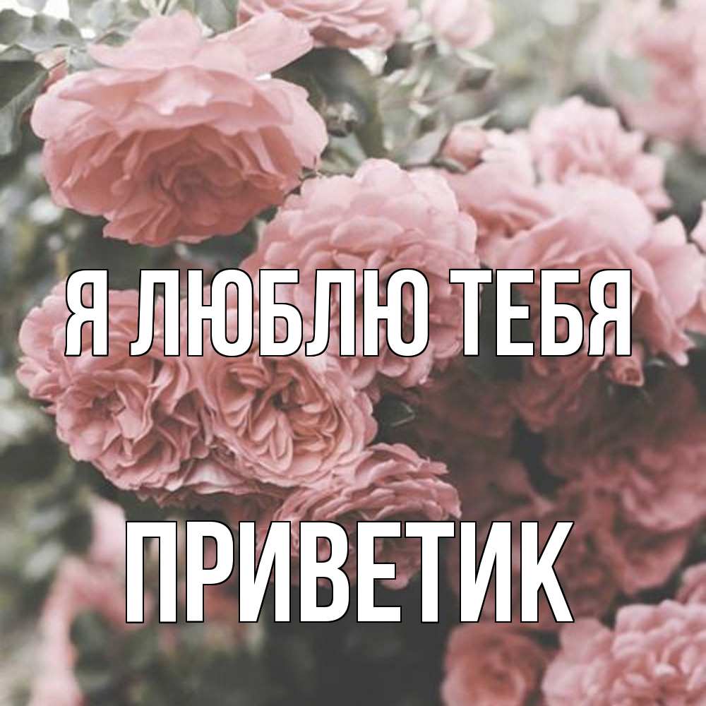 Открытка  с именем. приветик, Я люблю тебя  