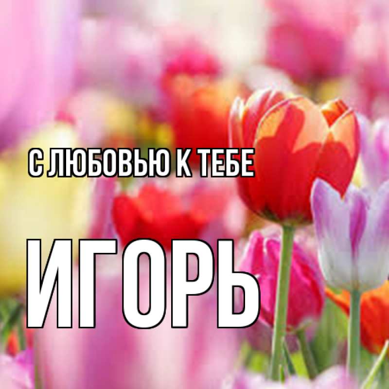 Картинка С любовью к тебе, Игорь