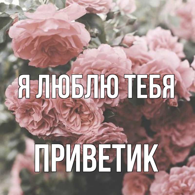 Картинка Я люблю тебя, приветик