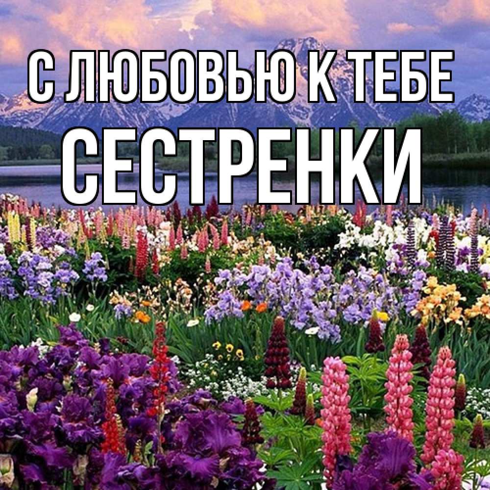 Открытка  с именем. Сестренки, С любовью к тебе  