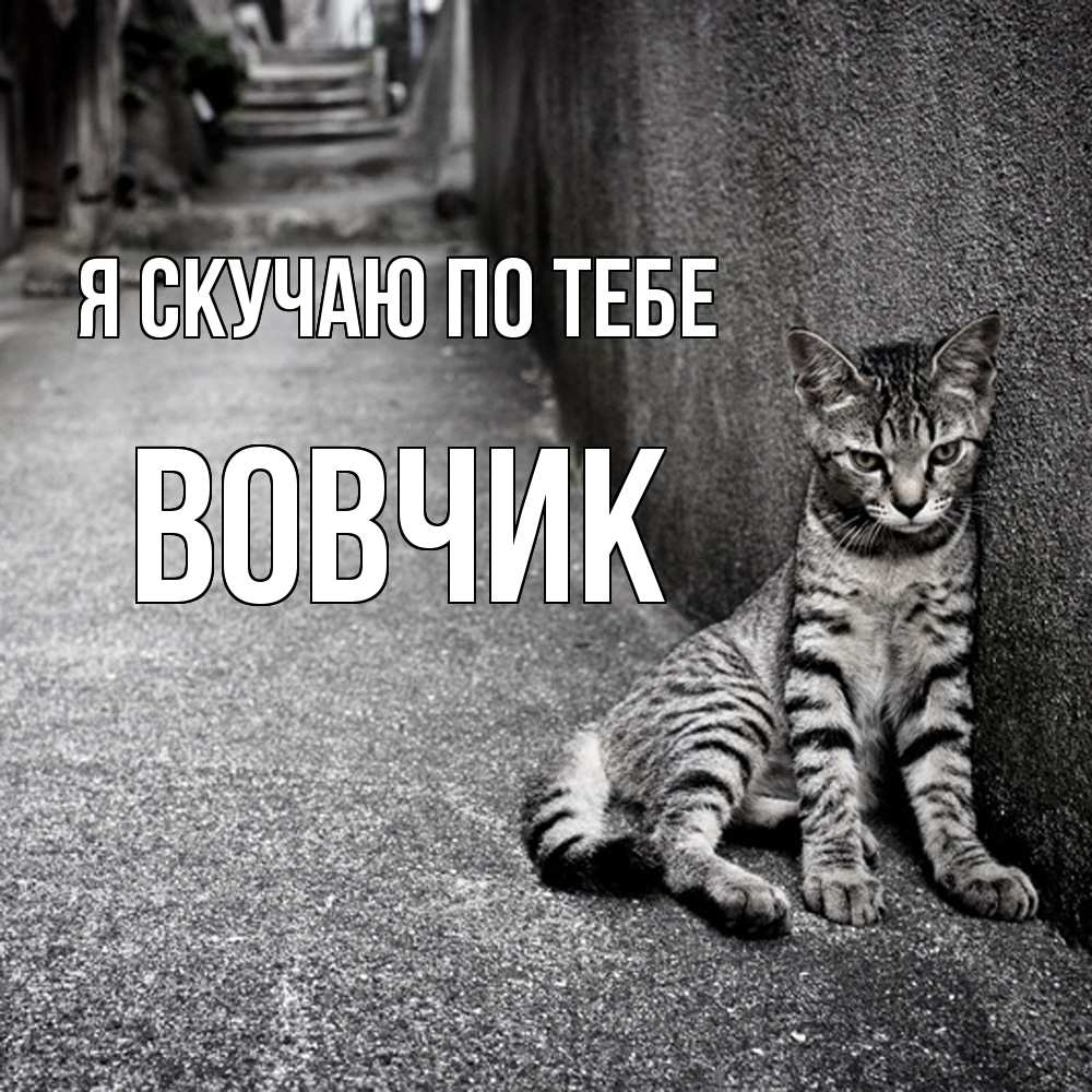 Открытка  с именем. вовчик, Я скучаю по тебе  