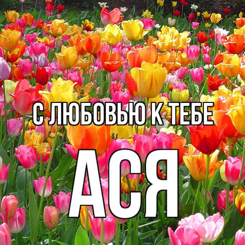 Картинка С любовью к тебе, Ася