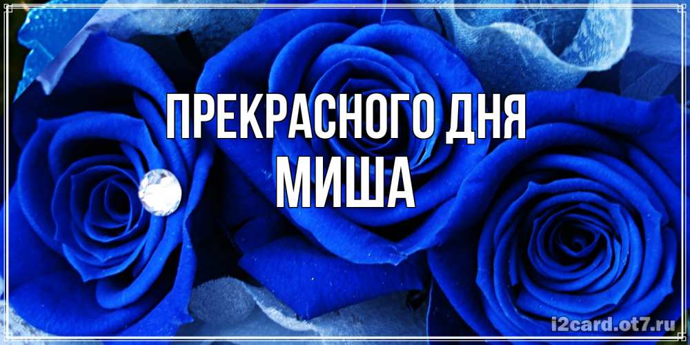 Открытка  с именем. Миша, Прекрасного дня  