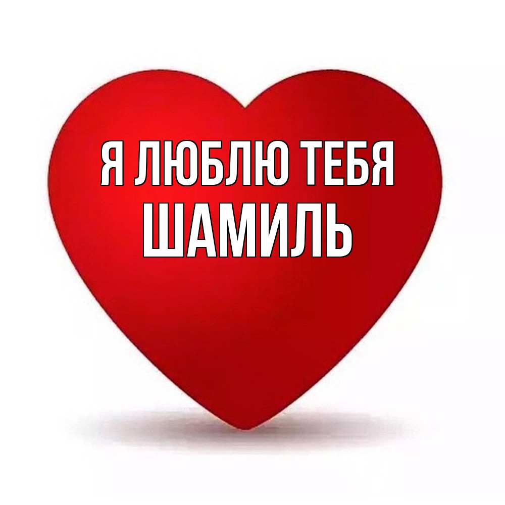 Открытка  с именем. Шамиль, Я люблю тебя  
